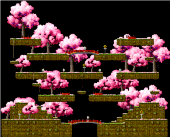 Cherry Blossom Forest 2