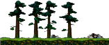 Forest Near the Hideout