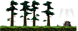 Forest Near the Hideout
