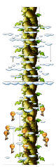 Beanstalk Climb