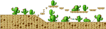 Cactus Desert - 2