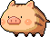 Wild Pig
