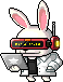 Iron Rabbit